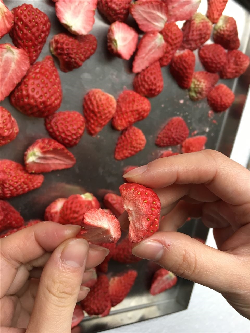 ɲݮ